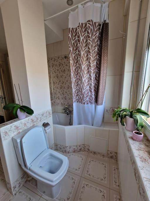 Beautiful Aparment Next To The Border 4 Room 생루이 외부 사진